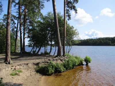 Аренда коттежда